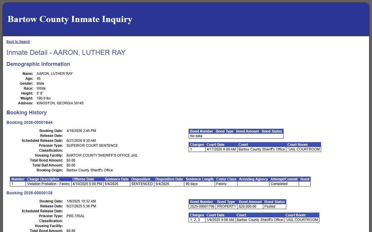 Sample Bartow County inmate detail fields